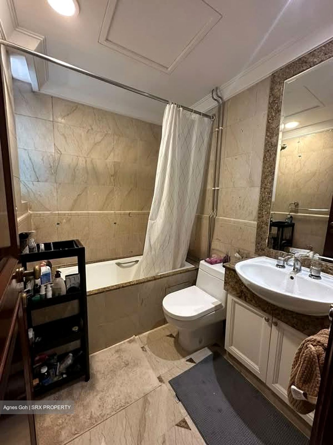 Valley Park (D10), Condominium #588872061